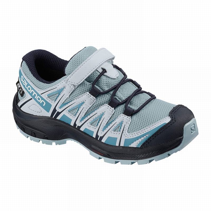 Salomon Singapore Kids Hiking Shoes - XA PRO 3D CSWP K Grey Blue | 93567-EDVF